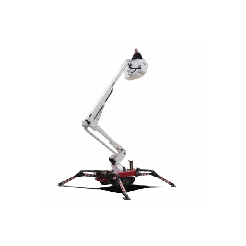 Spider robot